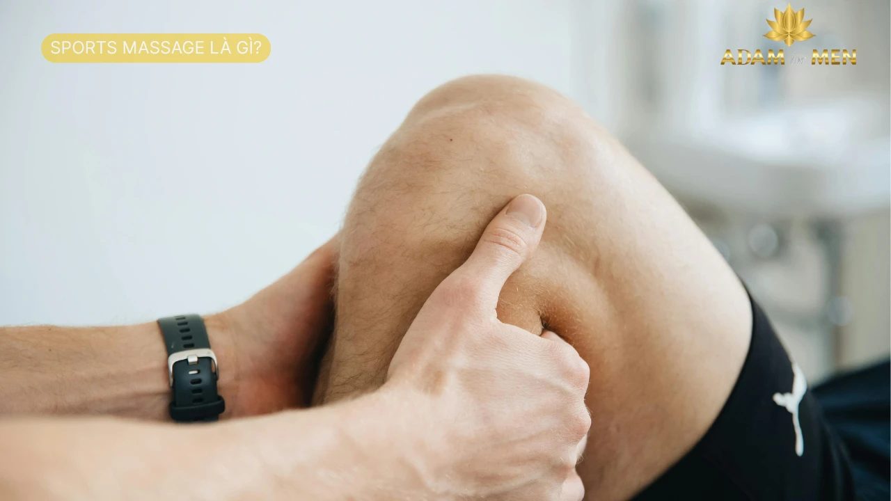 Sports Massage Là Gì